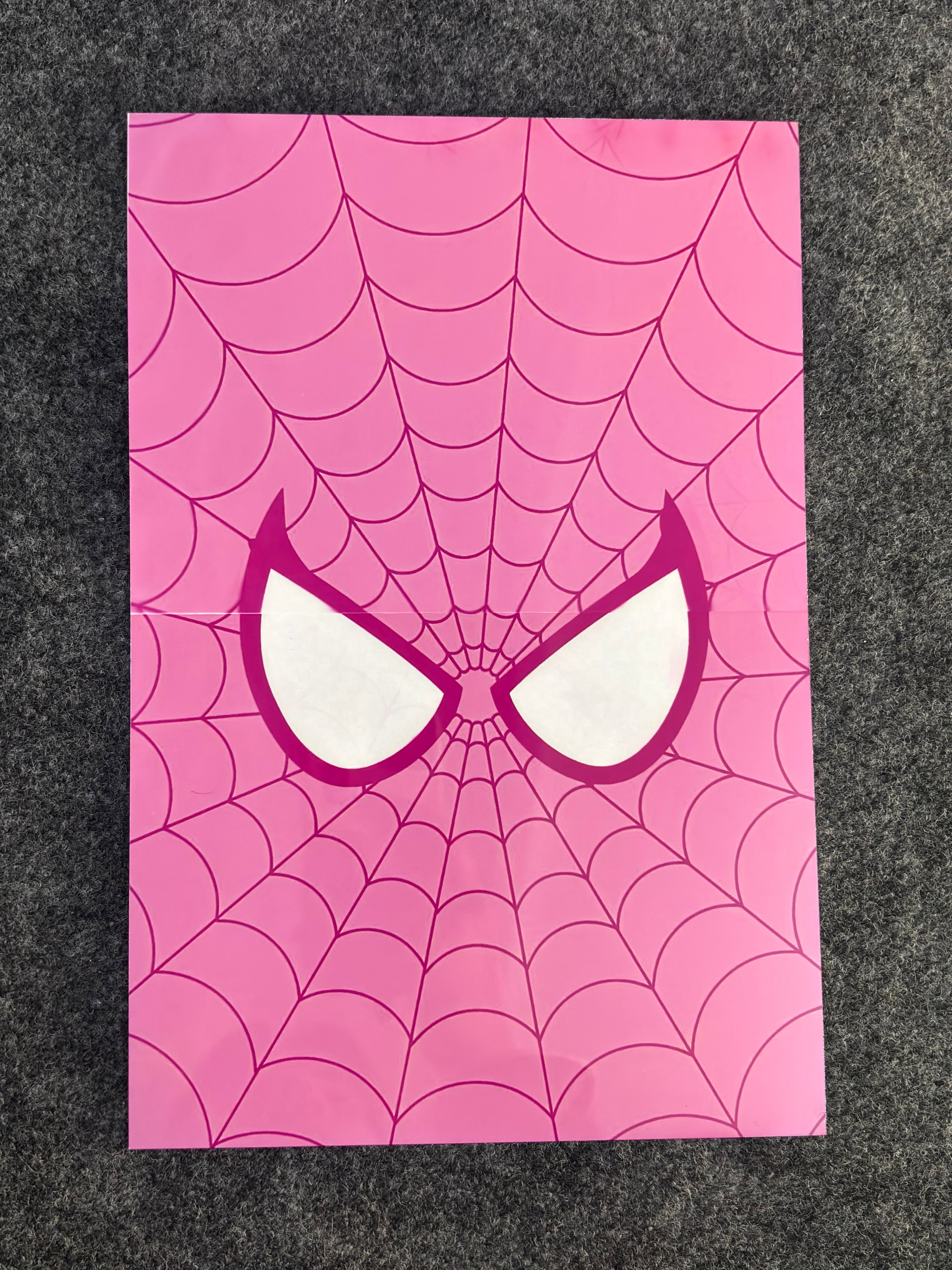 Pink Spider Web Poster