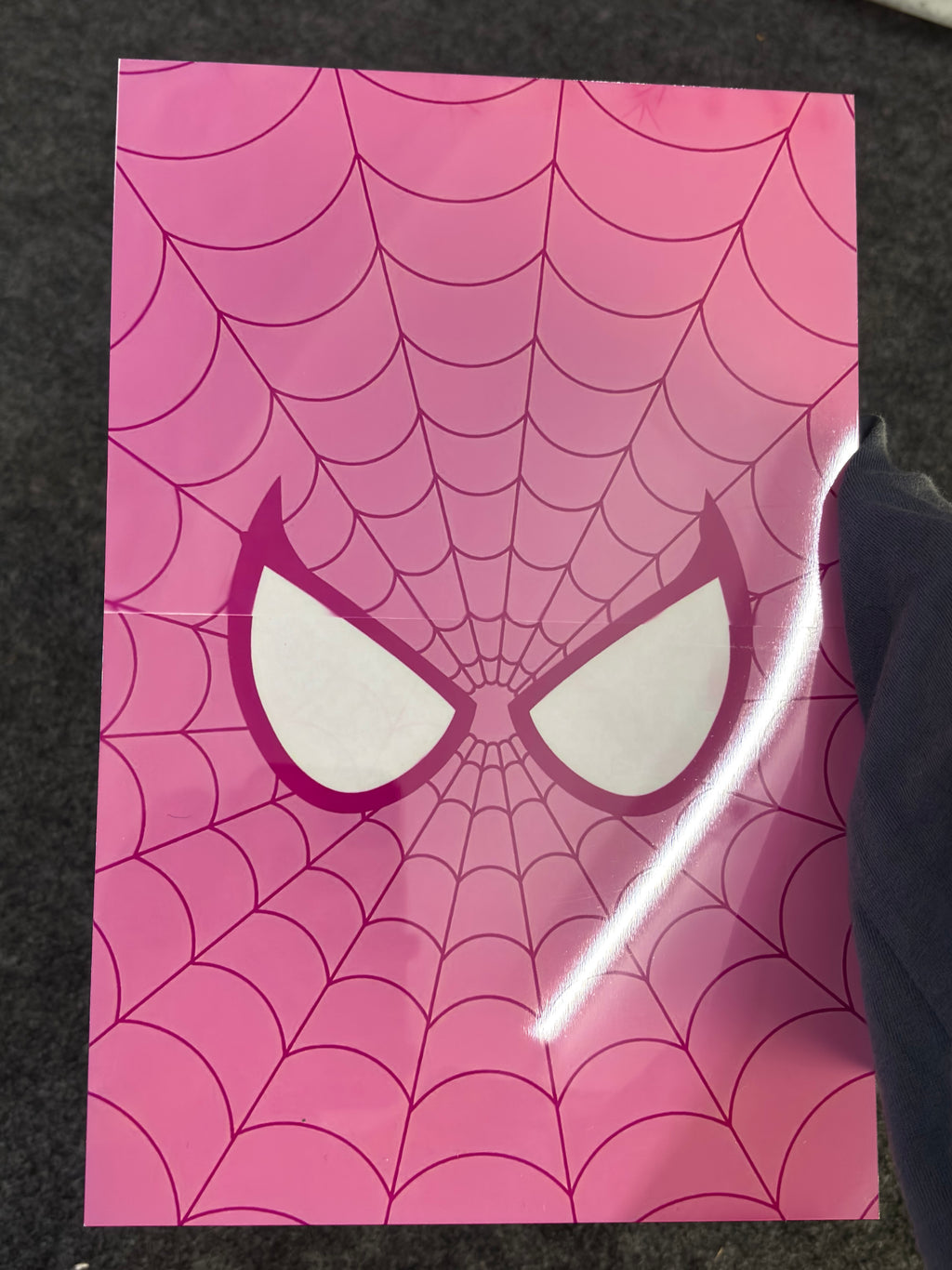 Pink Spider Web Poster